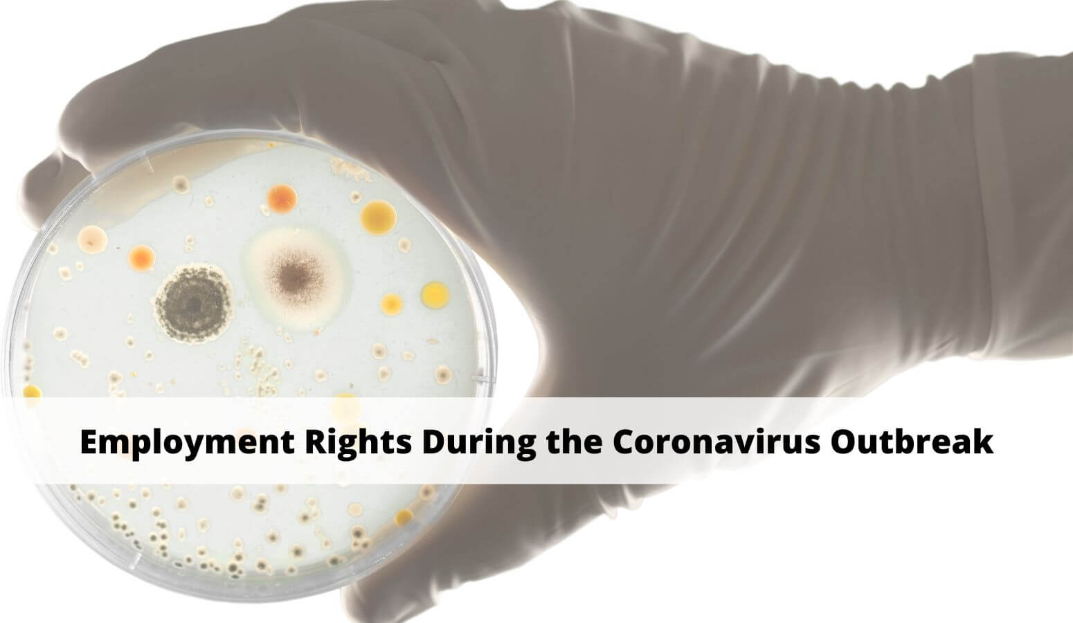 Featured image for “Employment Rights During the Coronavirus Outbreak”