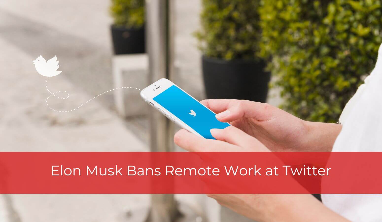 Remote work ban at Twitter
