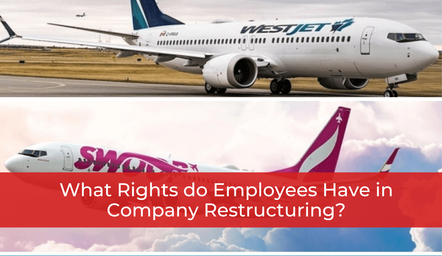 Featured image for “What Rights do Employees Have in Company Restructuring?”