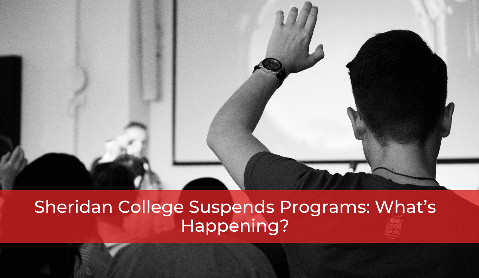 Featured image for “Sheridan College Suspends Programs: What’s Happening?”