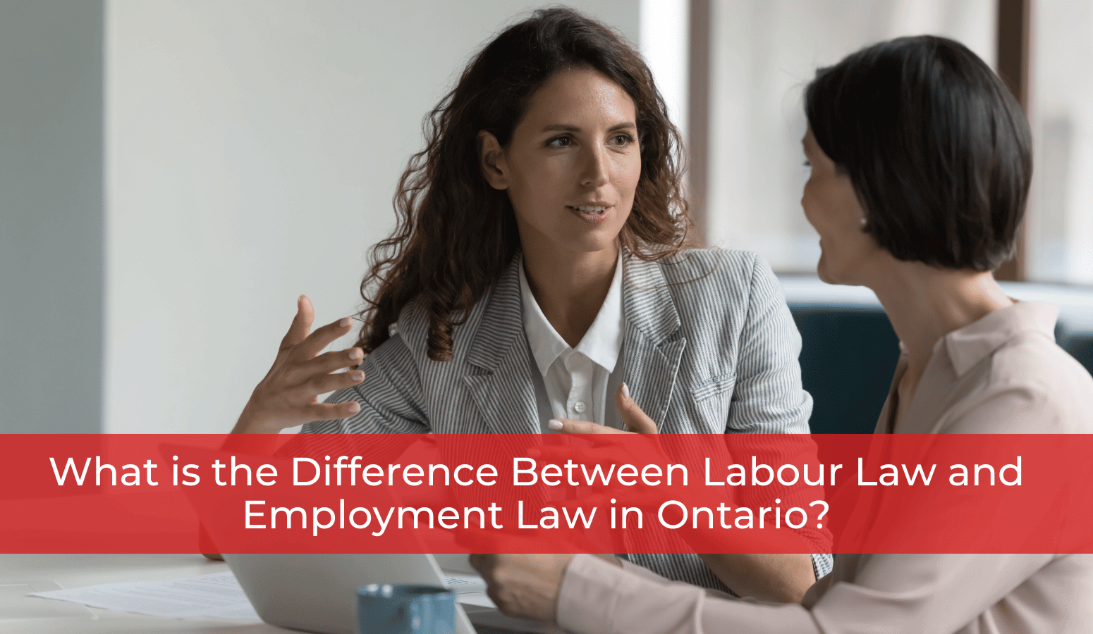 Featured image for “What is the Difference Between Labour Law and Employment Law in Ontario?”